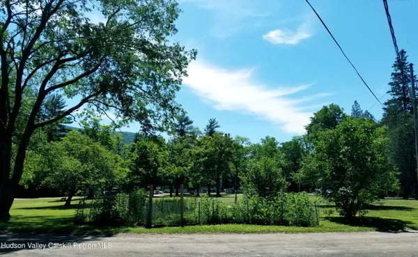 a view of a yard