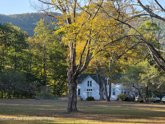 a view of a yard with plants and large trees