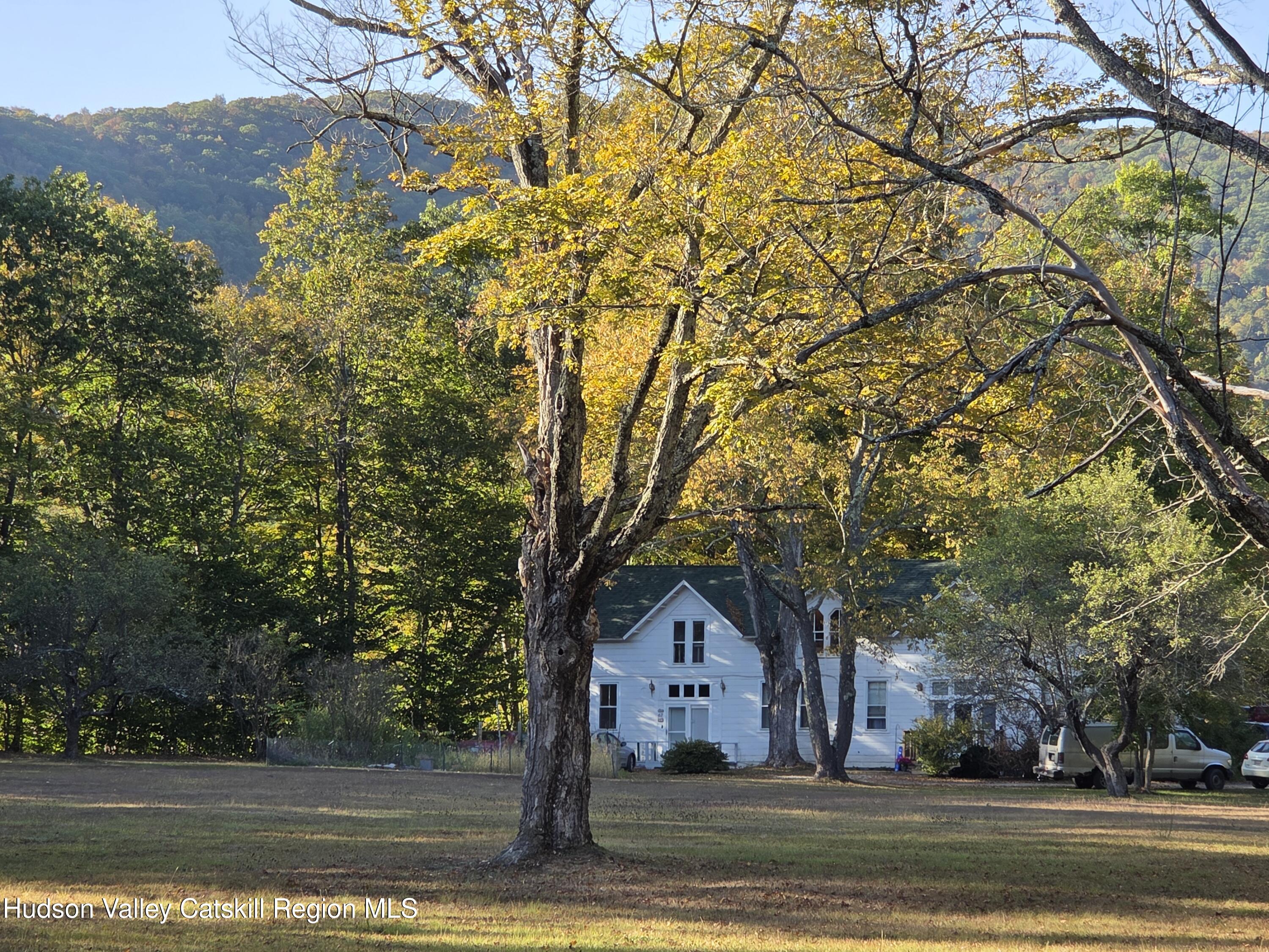 37-69 Mt Ava Maria Road Phoenicia, NY 12464 - Photo 3 of 27 a view of a yard with plants and large trees