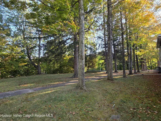 a view of a trees in a yard