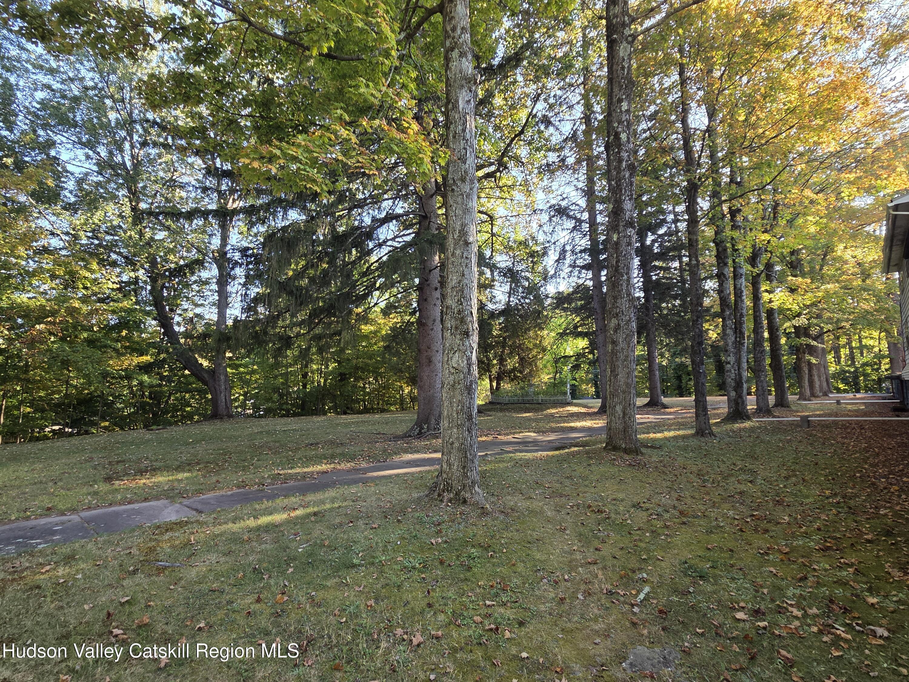 37-69 Mt Ava Maria Road Phoenicia, NY 12464 - Photo 9 of 27 a view of a trees in a yard