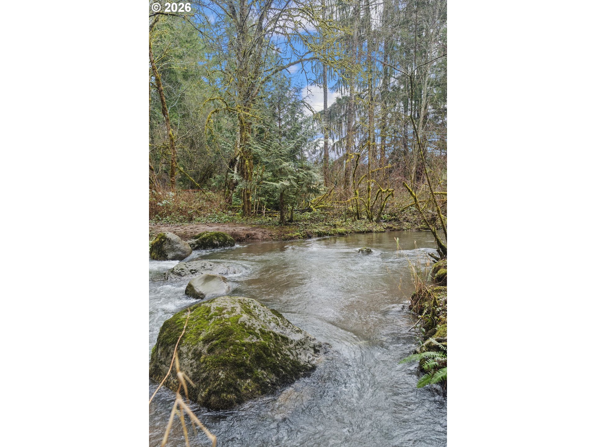 20304 Northeast Bridlewood Road Battle Ground, WA 98604 - Photo 43 of 48