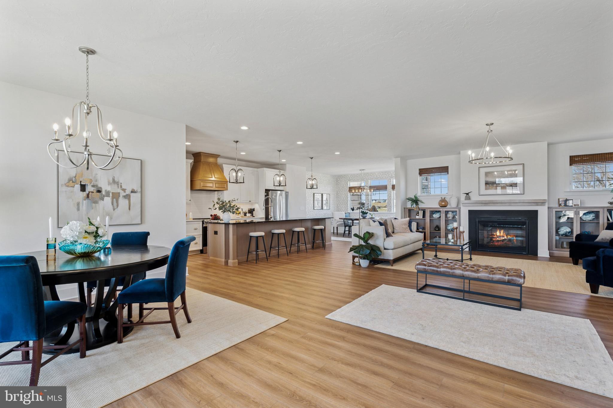 285 Ledger Drive, Unit 61 Hanover, PA 17331 - Photo 4 of 41 a living room with furniture a fireplace and a chandelier