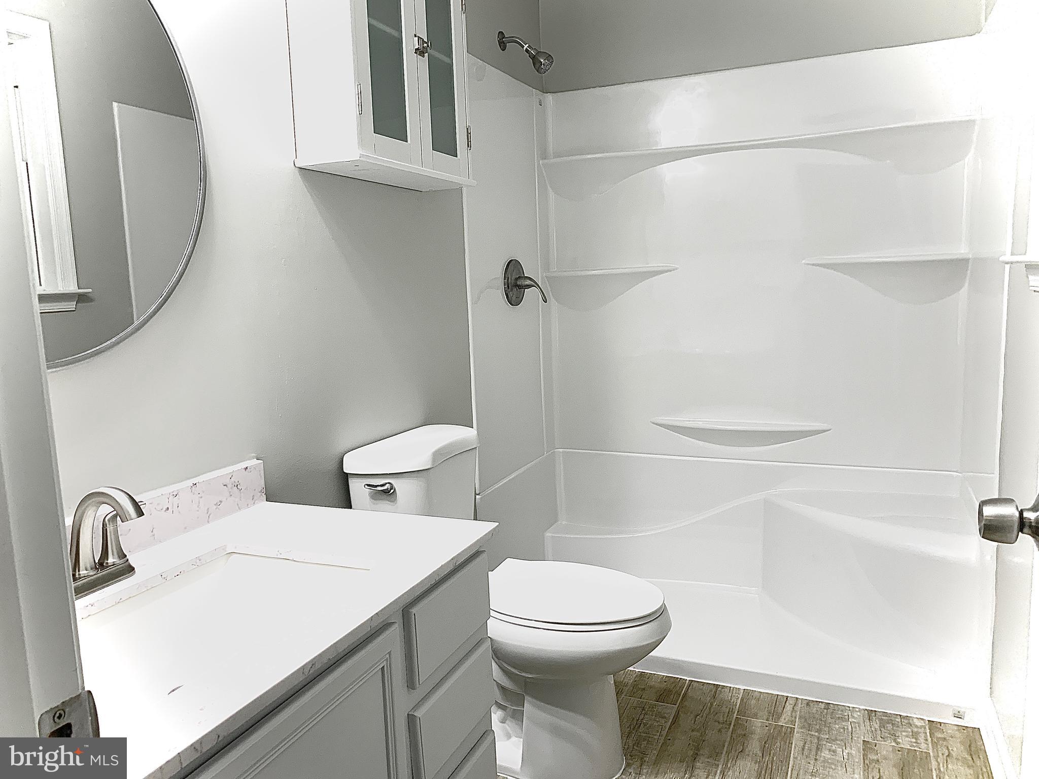 2196 High Top Road Linden, VA 22642 - Photo 14 of 33 Updated Master Bath