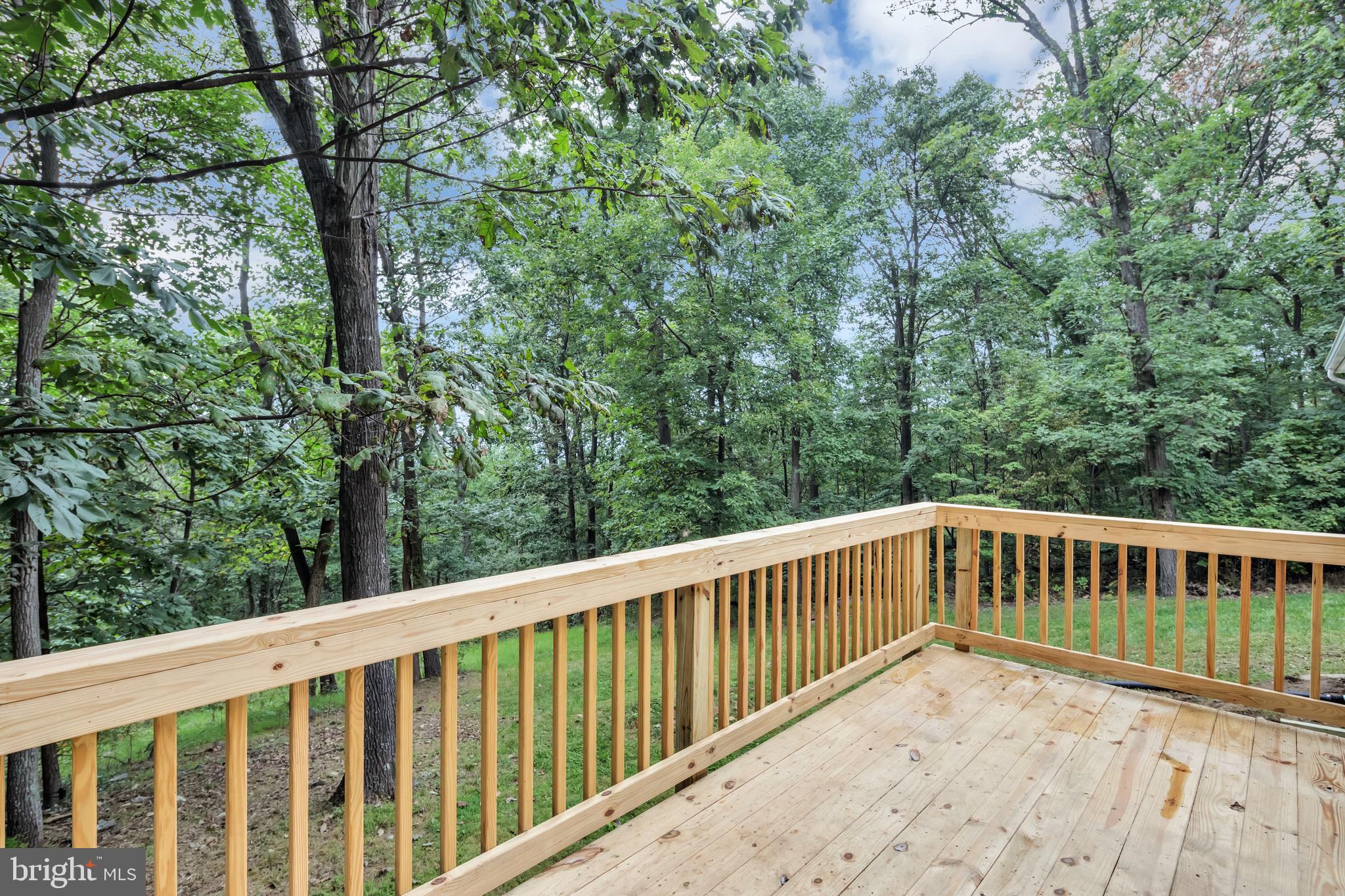 2196 High Top Road Linden, VA 22642 - Photo 24 of 33 Deck overlooking private yard