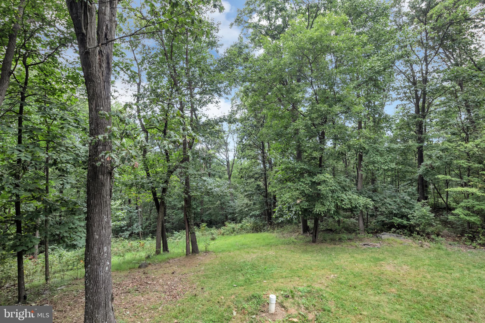 2196 High Top Road Linden, VA 22642 - Photo 25 of 33 Treed Backyard