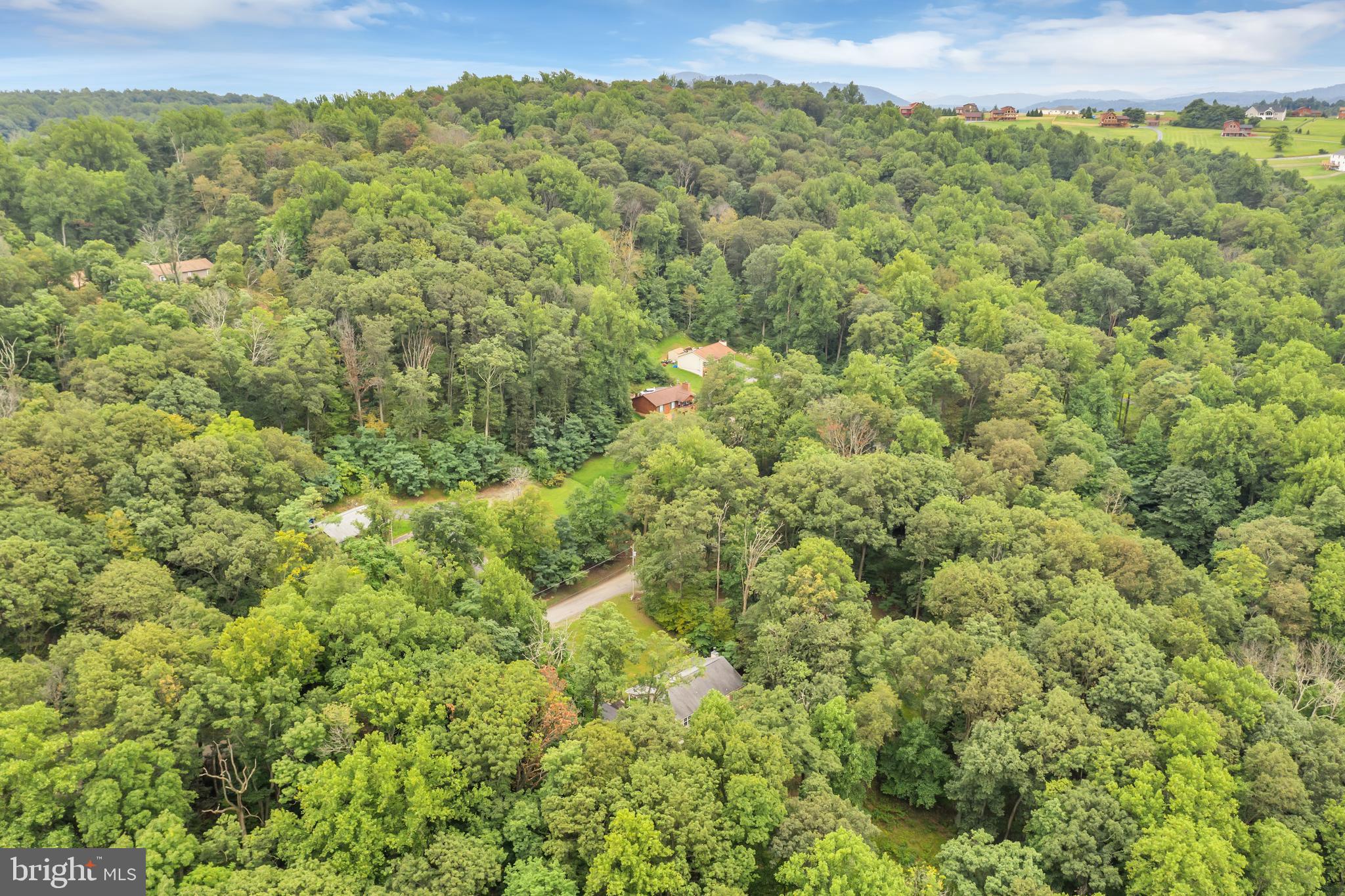 2196 High Top Road Linden, VA 22642 - Photo 32 of 33 Breathtaking Views
