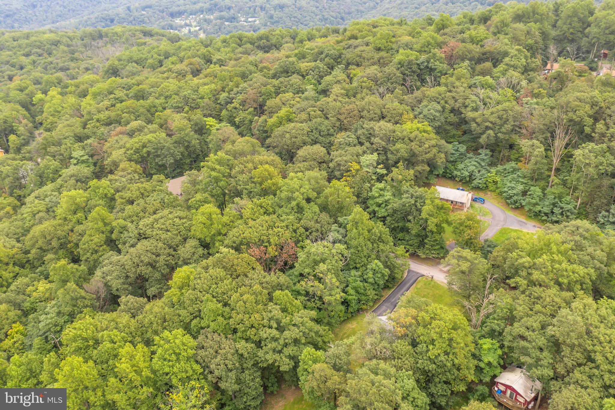 2196 High Top Road Linden, VA 22642 - Photo 33 of 33 Very Private and Secluded