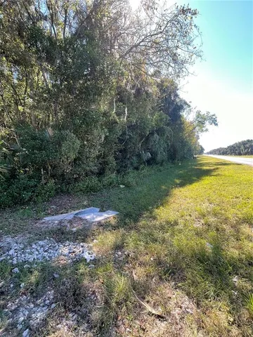 a view of a yard with an outdoor space