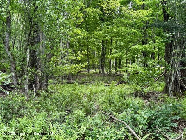 Marvins Road Susquehanna, PA 18847 - Photo 16 of 17 IMG_2833 Medium