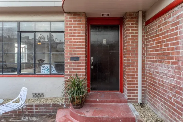 a potted plant in front of a door