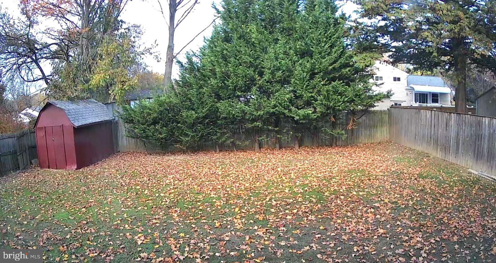 1004 Baltimore Road Rockville, MD 20851 - Photo 2 of 9 A big, even yard with a shed with electricity.