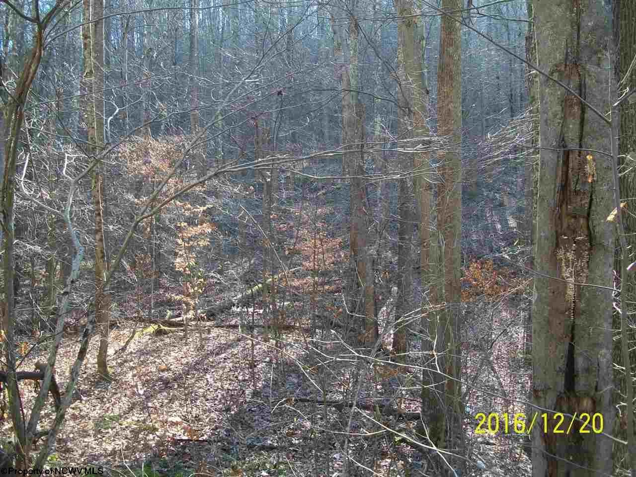 0 Salt Lick Road Montrose, WV 26283 - Photo 20 of 20 Gallery Image 20
