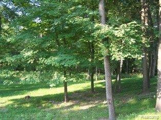 4931 Winding Way Howell, MI 48843 - Photo 20 of 21 yard 3