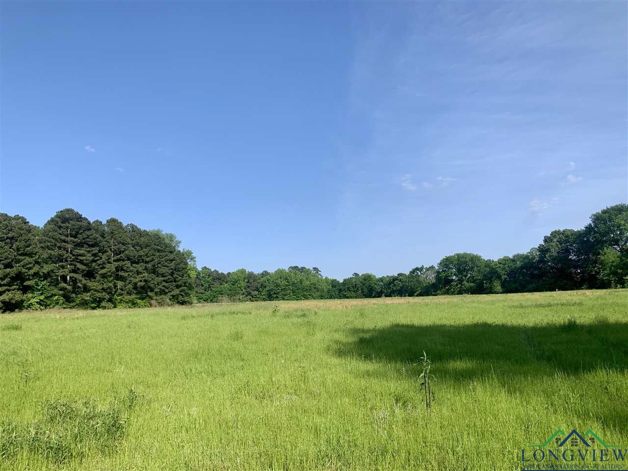 4105 Hall Road Daingerfield, TX 75638 - Photo 16 of 17 Gallery Image 16