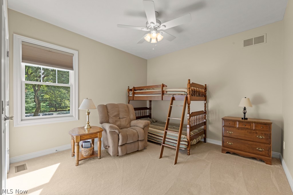 6595 Buffham Road Seville, OH 44273 - Photo 31 of 49 Gallery Image 31