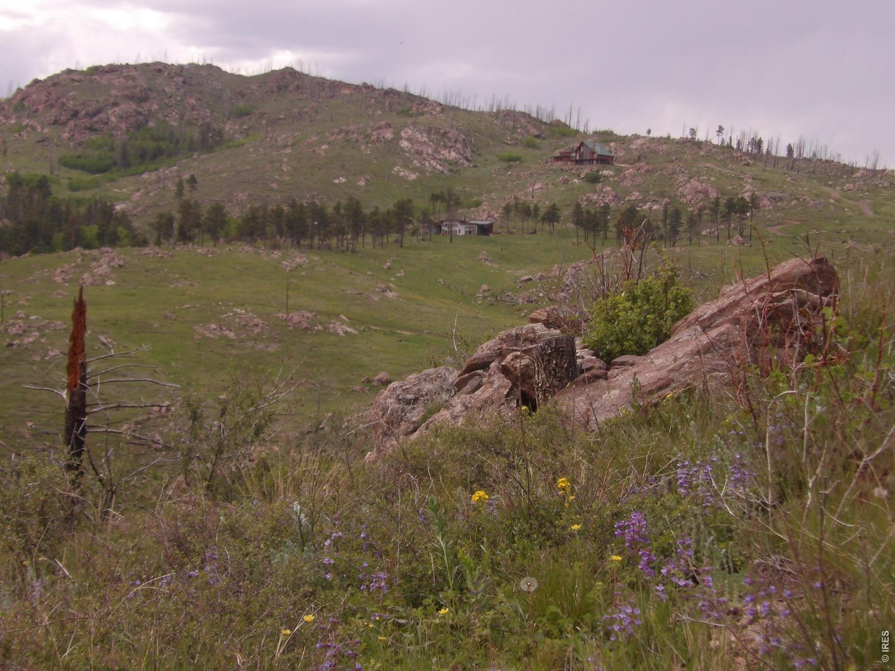 3434 Davis Ranch Road Bellvue, CO 80512 - Photo 19 of 30