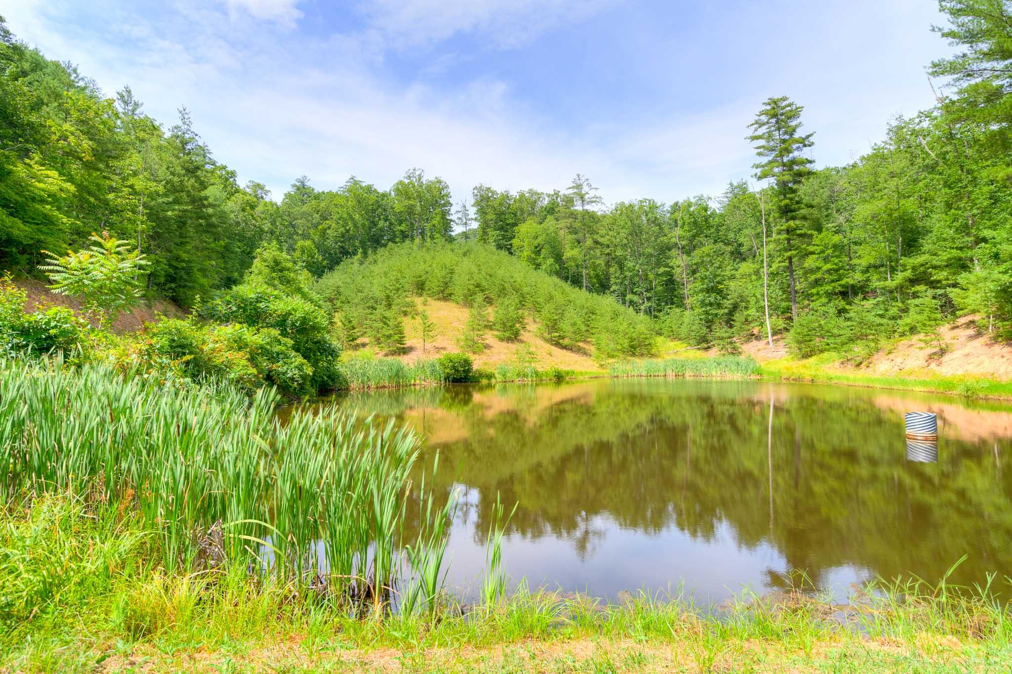 1386 Indian Valley Road Northwest Radford, VA 24141 - Photo 2 of 82 1386_IndianValleyRd_Web-3