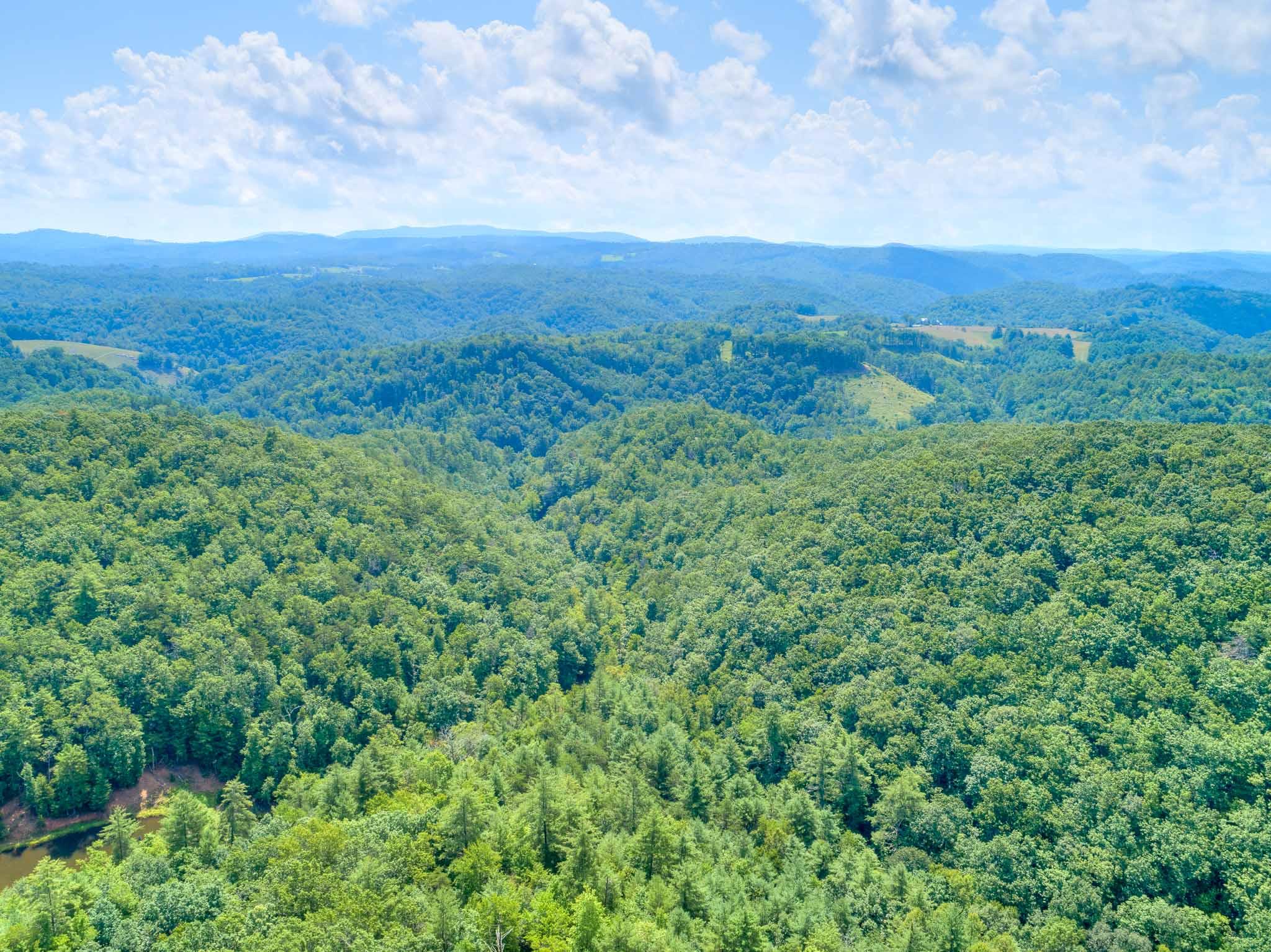 1386 Indian Valley Road Northwest Radford, VA 24141 - Photo 70 of 82 1386_IndianValley-Drone_Web-15