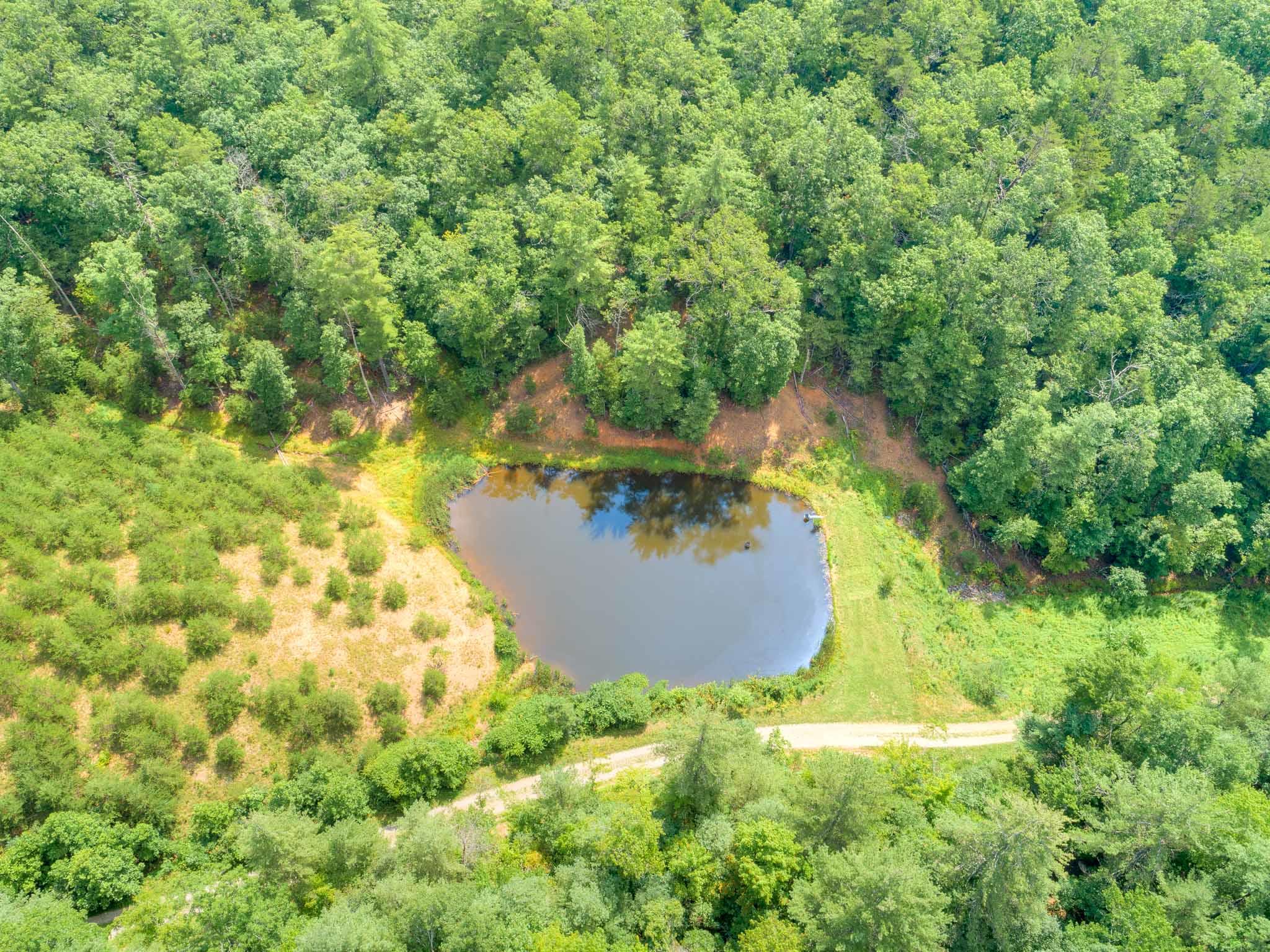 1386 Indian Valley Road Northwest Radford, VA 24141 - Photo 71 of 82 1386_IndianValley-Drone_Web-16