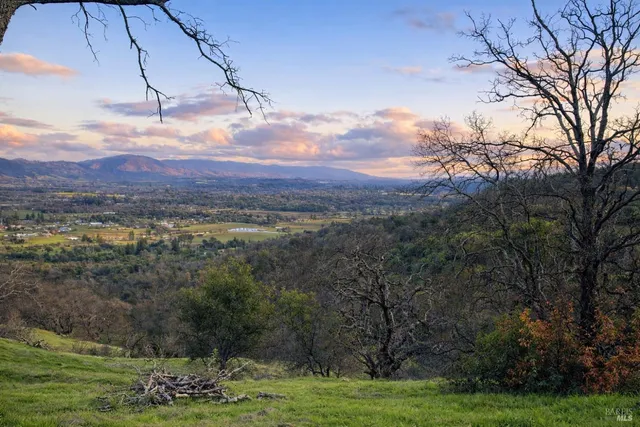 a view of a big yard with large trees