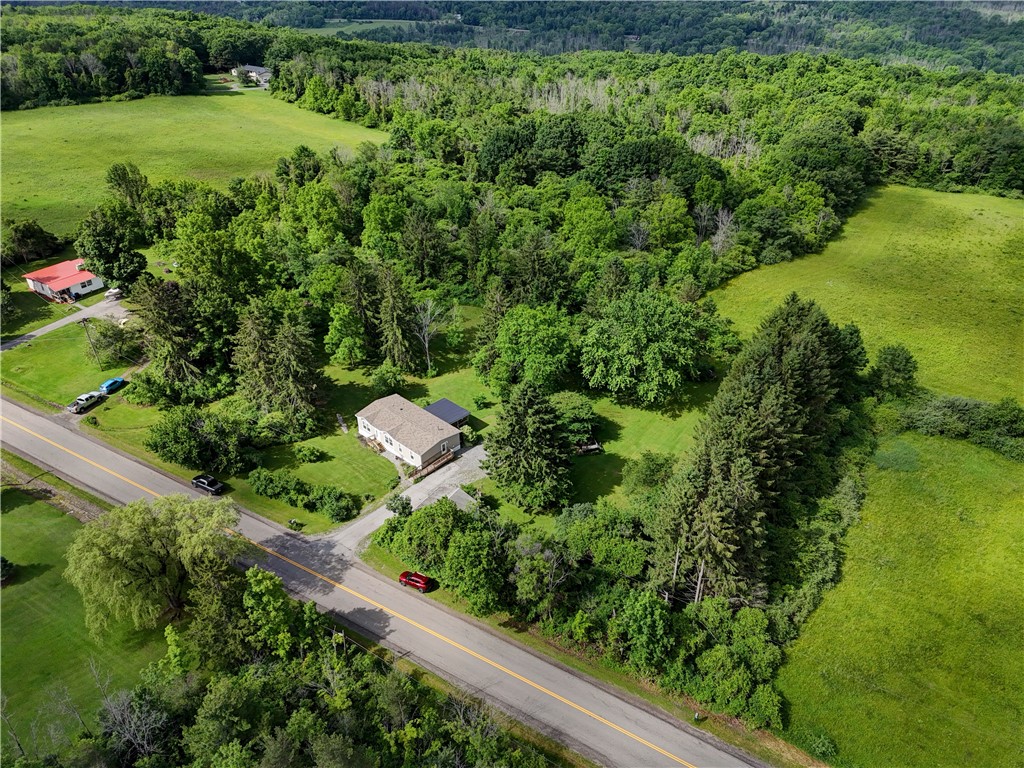 5420 Middle Road North Canadice, NY 14466 - Photo 12 of 47