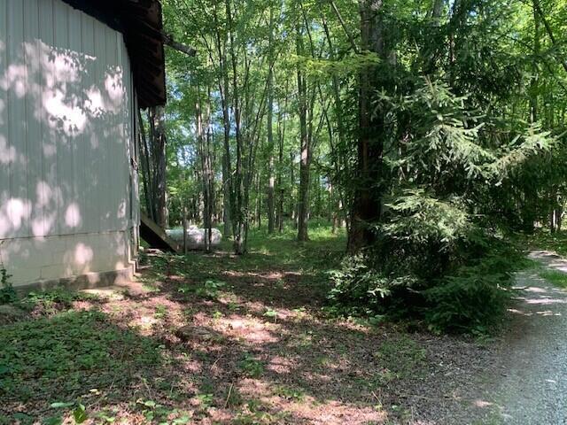 7044 Big Walnut Road Galena, OH 43021 - Photo 31 of 37 31. Land