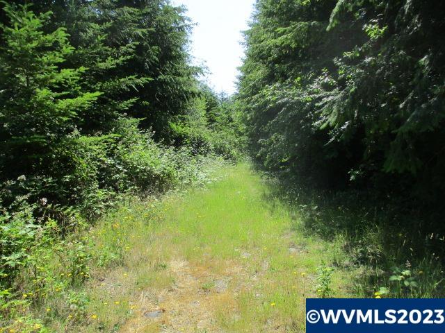 Mt Pleasant Road Lebanon, OR 97355 - Photo 3 of 5