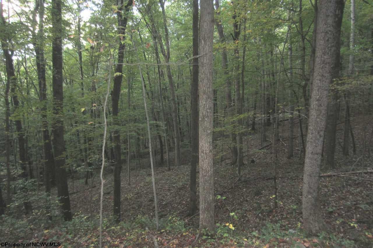 Tbd Kincheloe Road Jane Lew, WV 26378 - Photo 12 of 16 Gallery Image 12