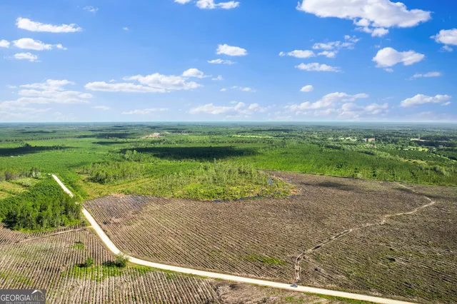 $155,850 | 1 Morris Break Road, Odum, GA 31555