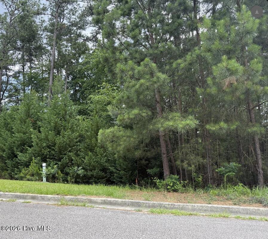 3946 Carolyn Street Augusta, GA 30909 - Photo 3 of 4