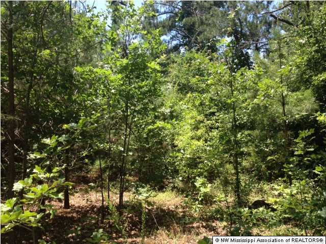 5 Byhalia Road Olive Branch, MS 38654 - Photo 1 of 4 Primary Photo
