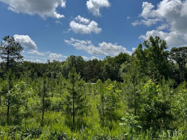 0 Mini Ball Lane Appomattox, VA 24522 - Photo 2 of 6 a view of a bunch of trees