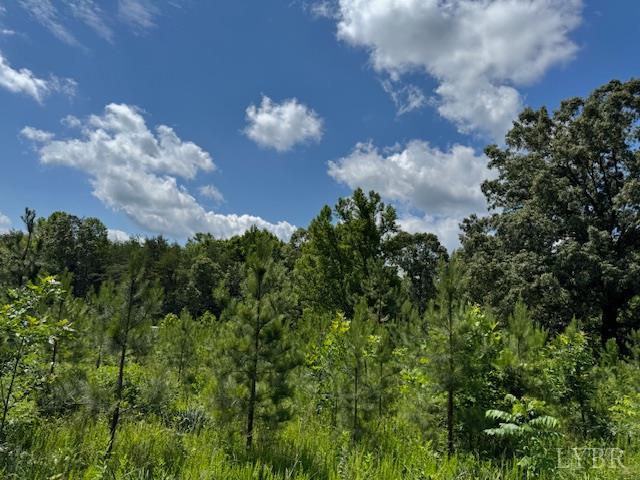 0 Mini Ball Lane Appomattox, VA 24522 - Photo 3 of 6 a view of a in the bunch of a building