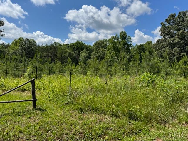 0 Mini Ball Lane Appomattox, VA 24522 - Photo 4 of 6 a view of a yard