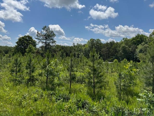 0 Mini Ball Lane Appomattox, VA 24522 - Photo 5 of 6