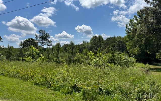 0 Mini Ball Lane Appomattox, VA 24522 - Photo 6 of 6