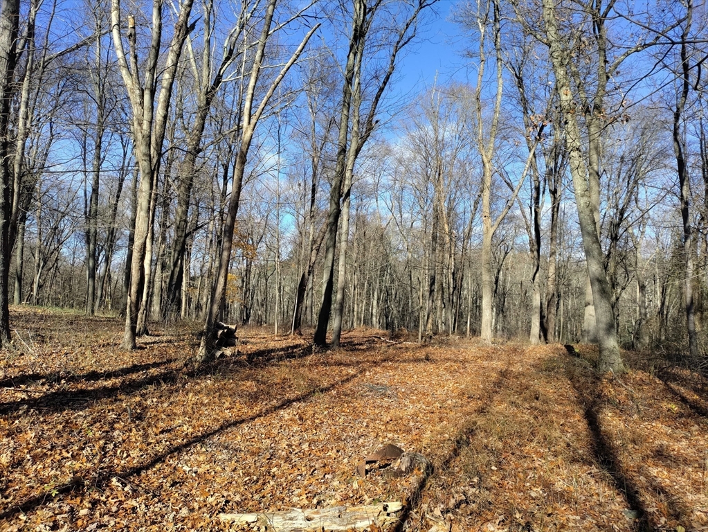 a view of wooden fence and trees