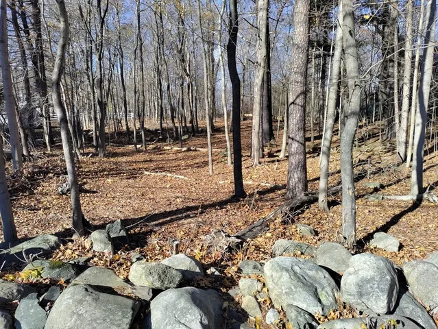a view of a backyard of the house