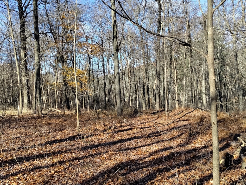 125 Topsfield Road Ipswich, MA 01938 - Photo 4 of 6 a backyard of a house