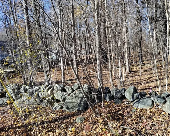 a view of a pathway of a yard