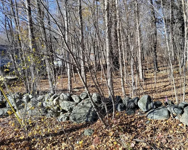a view of a pathway of a yard