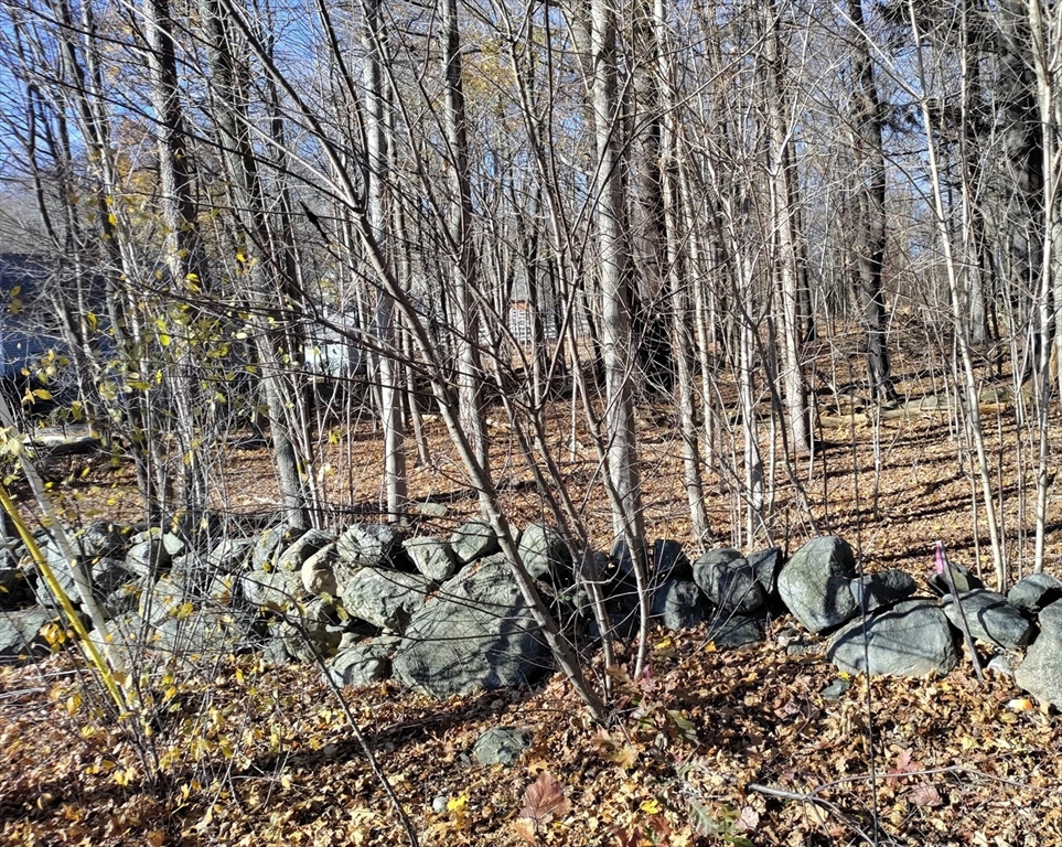 125 Topsfield Road Ipswich, MA 01938 - Photo 5 of 6 a view of a pathway of a yard