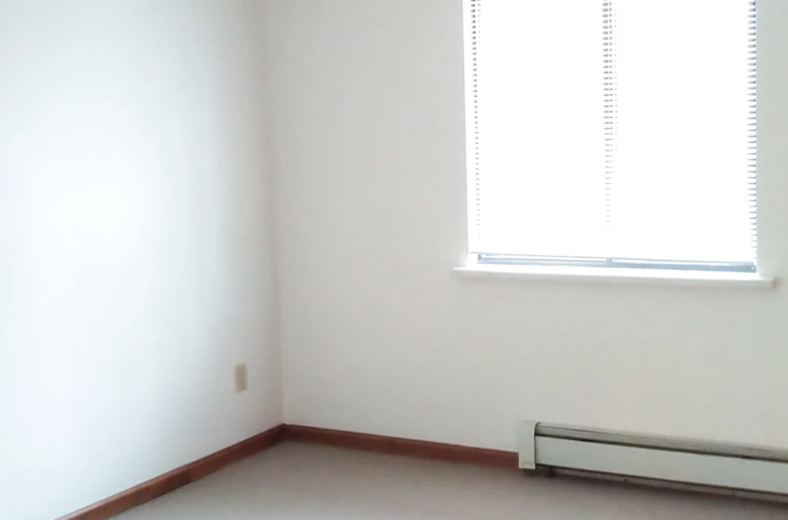 100 West Mill Pond Brooklyn, MI 49230 - Photo 6 of 11 a view of a small space with a window