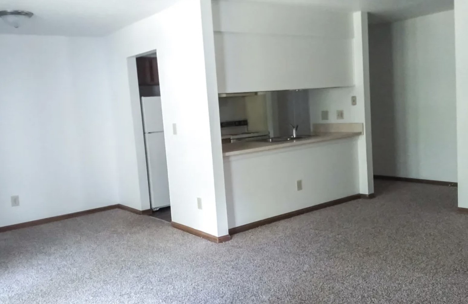 100 West Mill Pond Brooklyn, MI 49230 - Photo 7 of 11 a view of kitchen and utility room