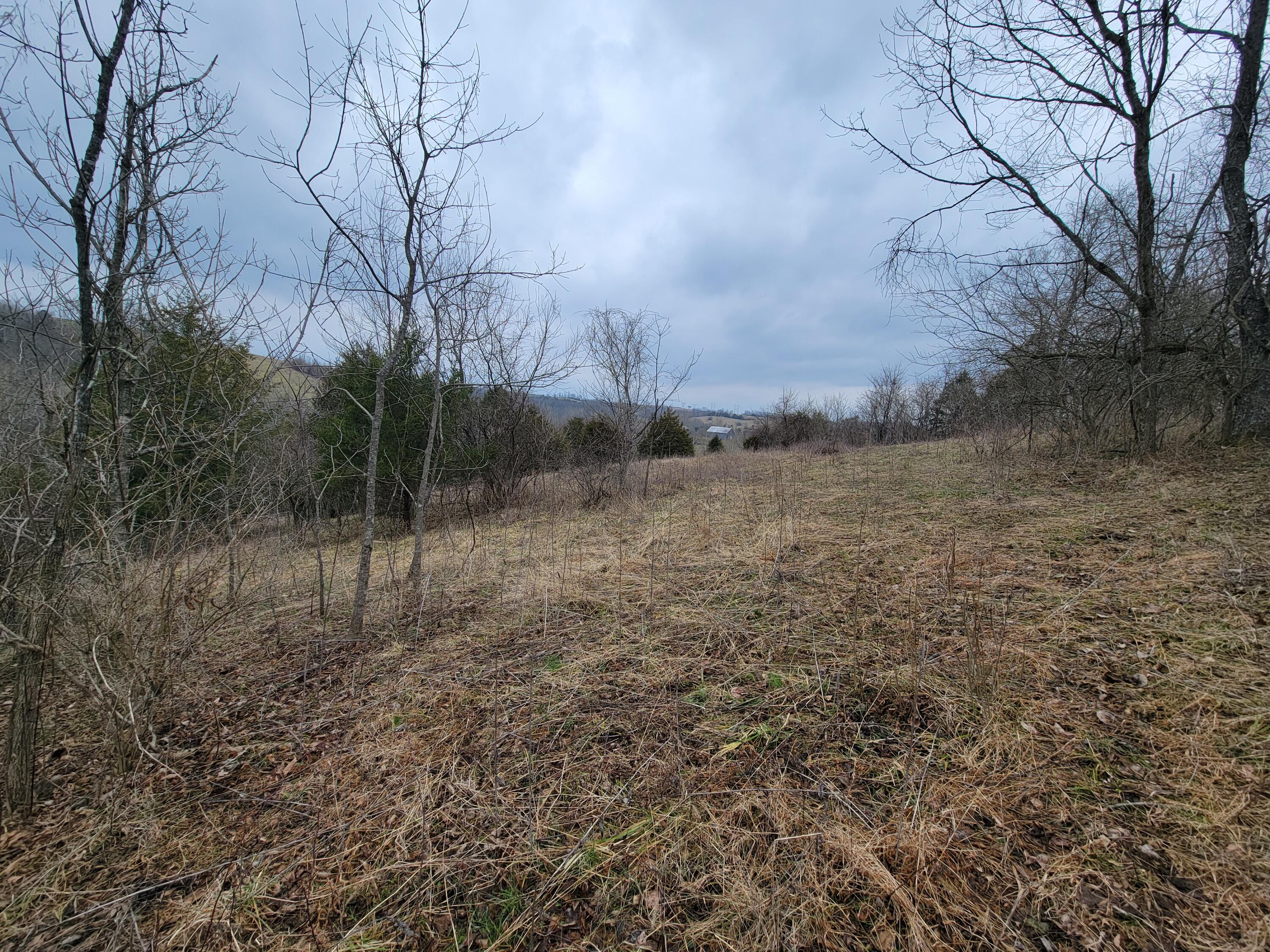 0 Convict Road Sharpsburg, KY 40374 - Photo 6 of 17 1000029242
