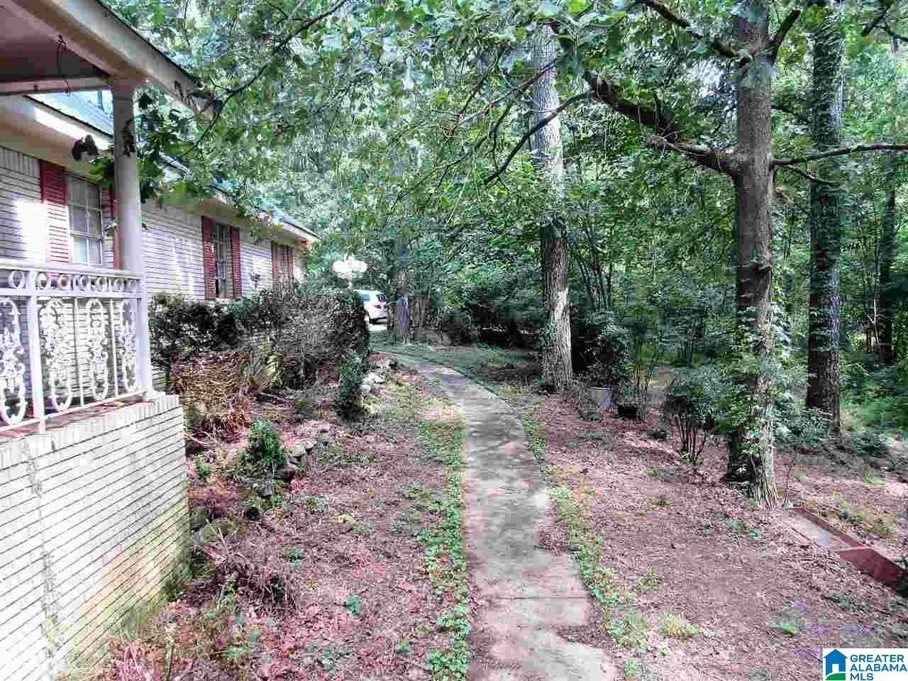 183 Green Acres Road Springville, AL 35146 - Photo 6 of 50