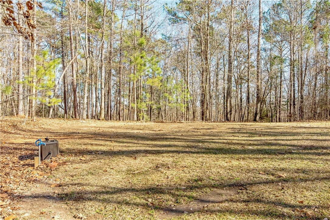 345 McCain Road Eclectic, AL 36024 - Photo 3 of 50 Gallery Image 3