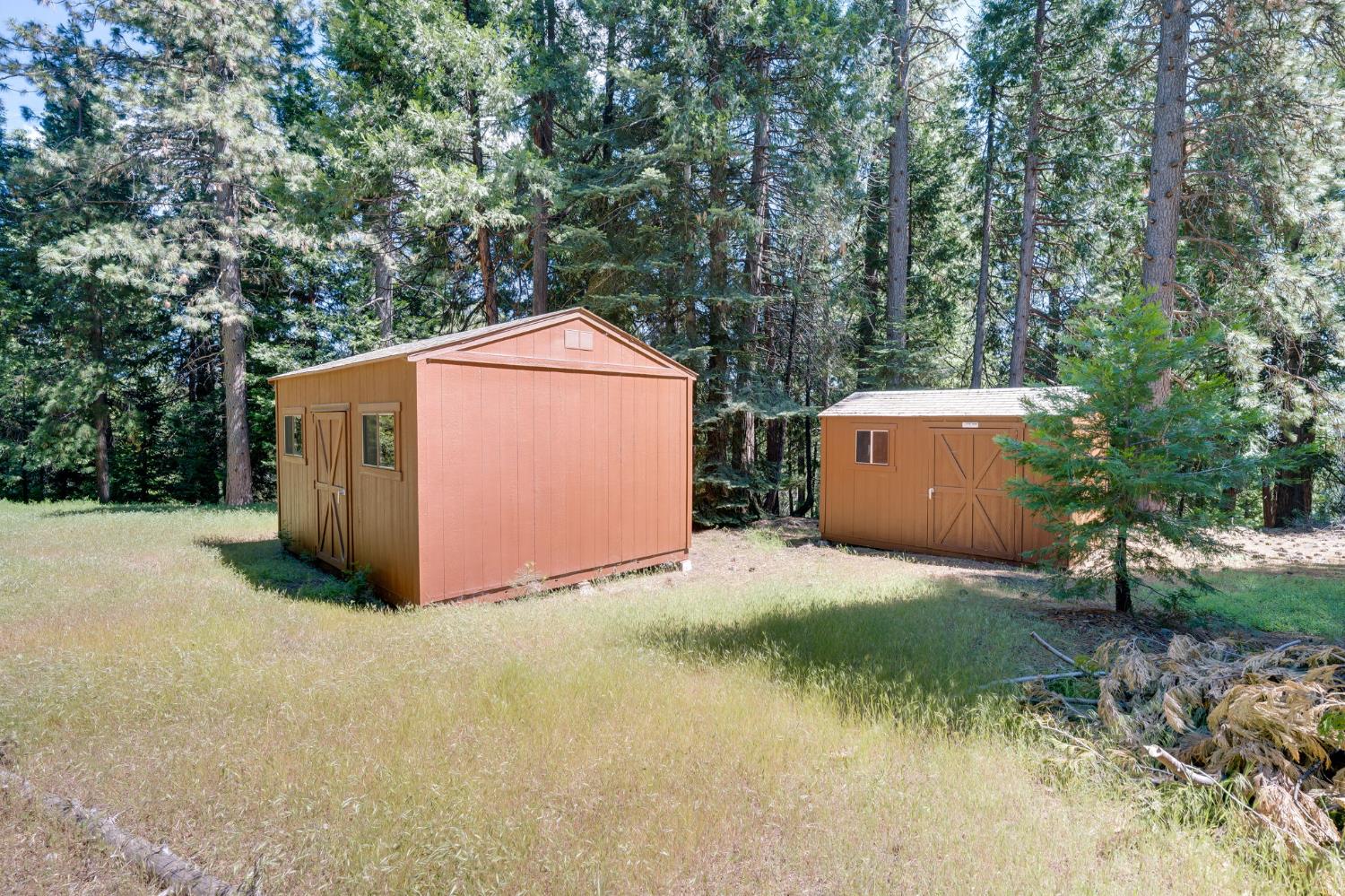 28722 Wood Road Pioneer, CA 95666 - Photo 31 of 39 a backyard of a house with large trees and a wooden fence