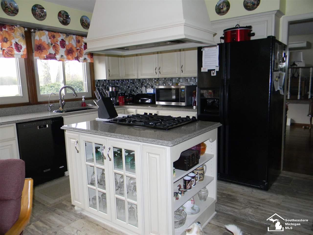14300 Lulu Road Ida, MI 48140 - Photo 4 of 30 Gallery Image 4
